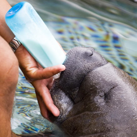 Iquitos – Compartiendo Experiencias