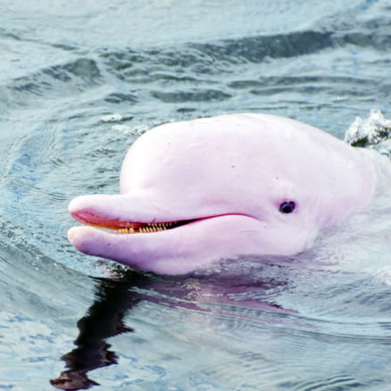 Explora la Biodiversidad