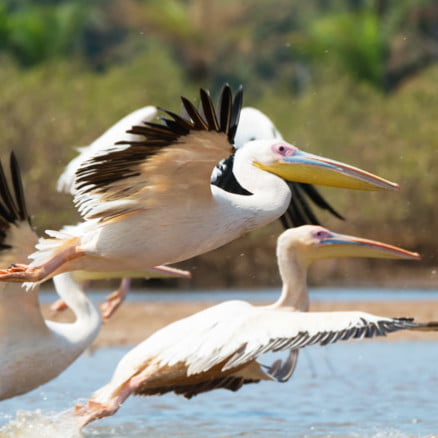 Historia, Naturaleza y Playa