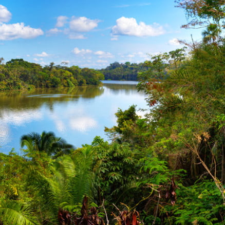Reserva Tambopata – Lago Sandoval