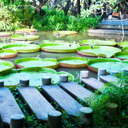 Naturaleza y Comfort