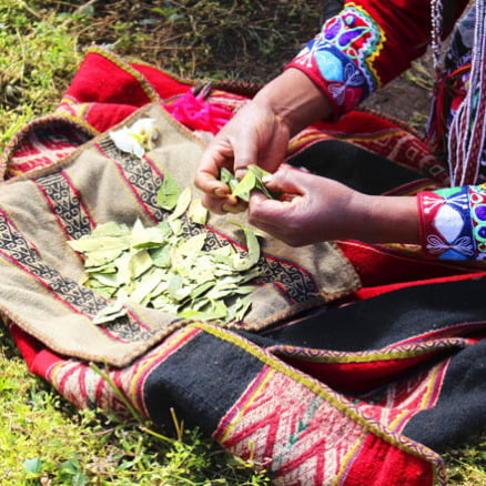 Yachaqs “Hijos de la Tierra”
