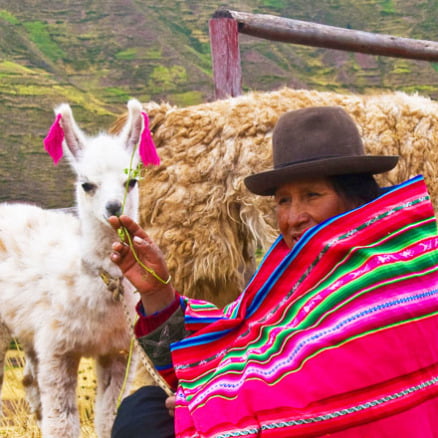 Yachaqs “El Hombre y la Llama”
