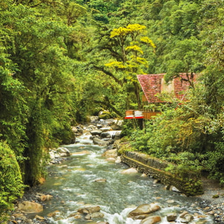 MANU “Vive el Ecoturismo”